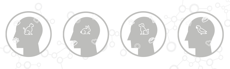 Animal-assisted therapy: is there OT beauty in the beast? Animal-assisted therapy: is there OT beauty in the beast?